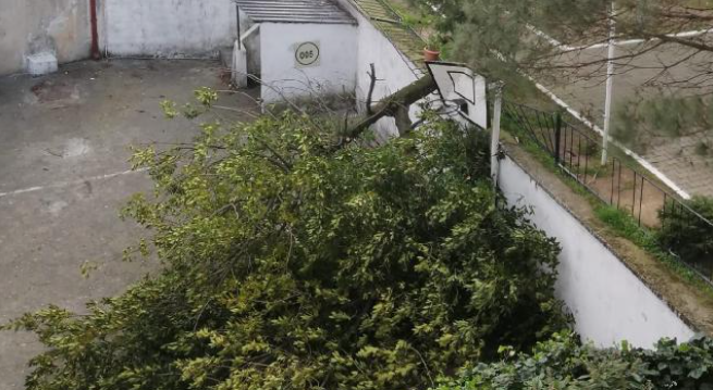 Artvin’de Şiddetli Fırtına