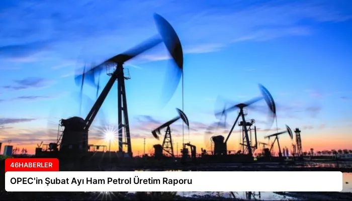 OPEC’in Şubat Ayı Ham Petrol Üretim Raporu