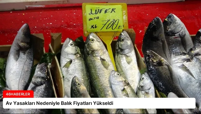 Av Yasakları Nedeniyle Balık Fiyatları Yükseldi