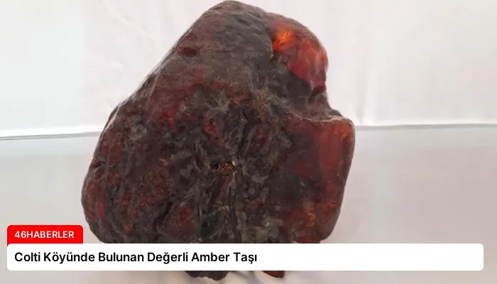 Colti Köyünde Bulunan Değerli Amber Taşı