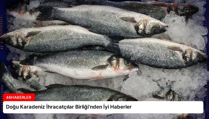Doğu Karadeniz İhracatçılar Birliği’nden İyi Haberler