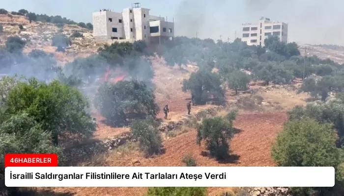 İsrailli Saldırganlar Filistinlilere Ait Tarlaları Ateşe Verdi