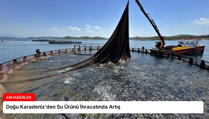 Doğu Karadeniz’den Su Ürünü İhracatında Artış