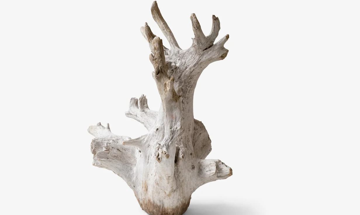 Doğanın Zarafeti Evlerinizde Hayat Buluyor