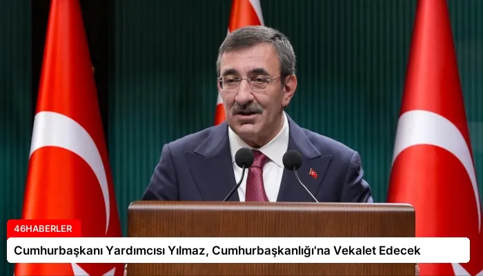 Cumhurbaşkanı Yardımcısı Yılmaz, Cumhurbaşkanlığı’na Vekalet Edecek