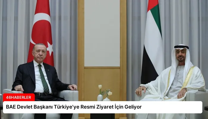 BAE Devlet Başkanı Türkiye’ye Resmi Ziyaret İçin Geliyor