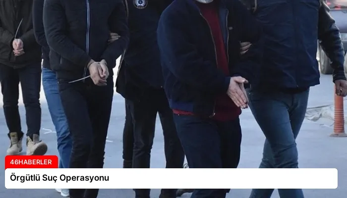 Örgütlü Suç Operasyonu