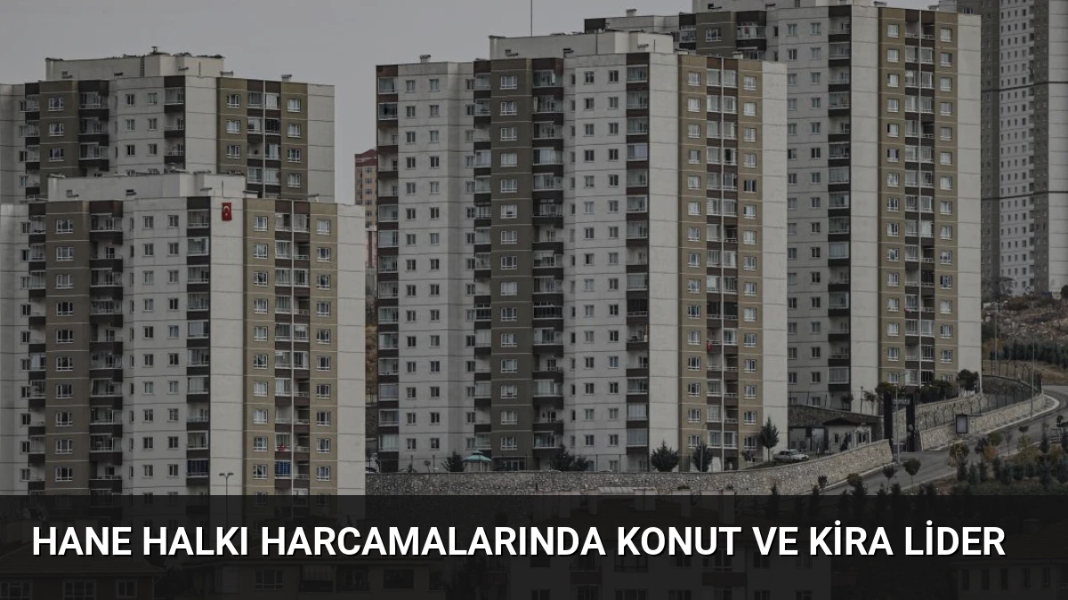 Hane Halkı Harcamalarında Konut ve Kira Lider
