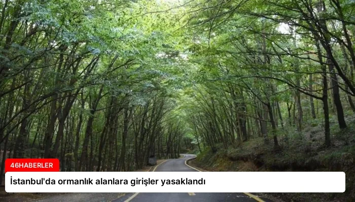 İstanbul’da ormanlık alanlara girişler yasaklandı