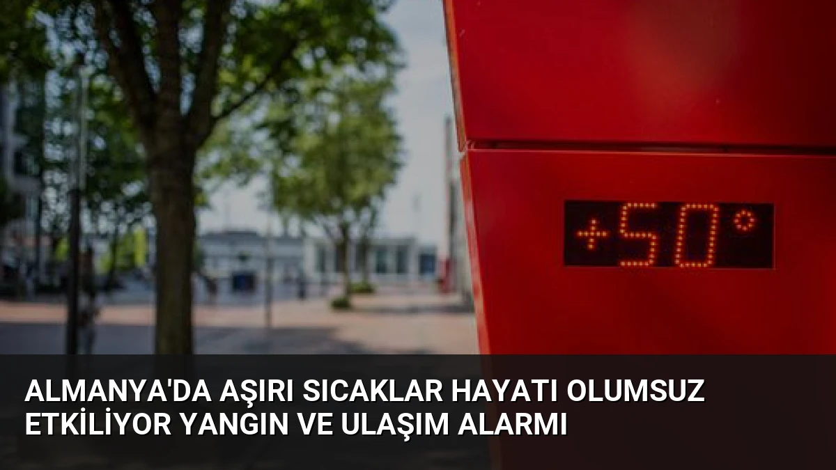 Almanya’da Aşırı Sıcaklar Hayatı Olumsuz Etkiliyor Yangın ve Ulaşım Alarmı