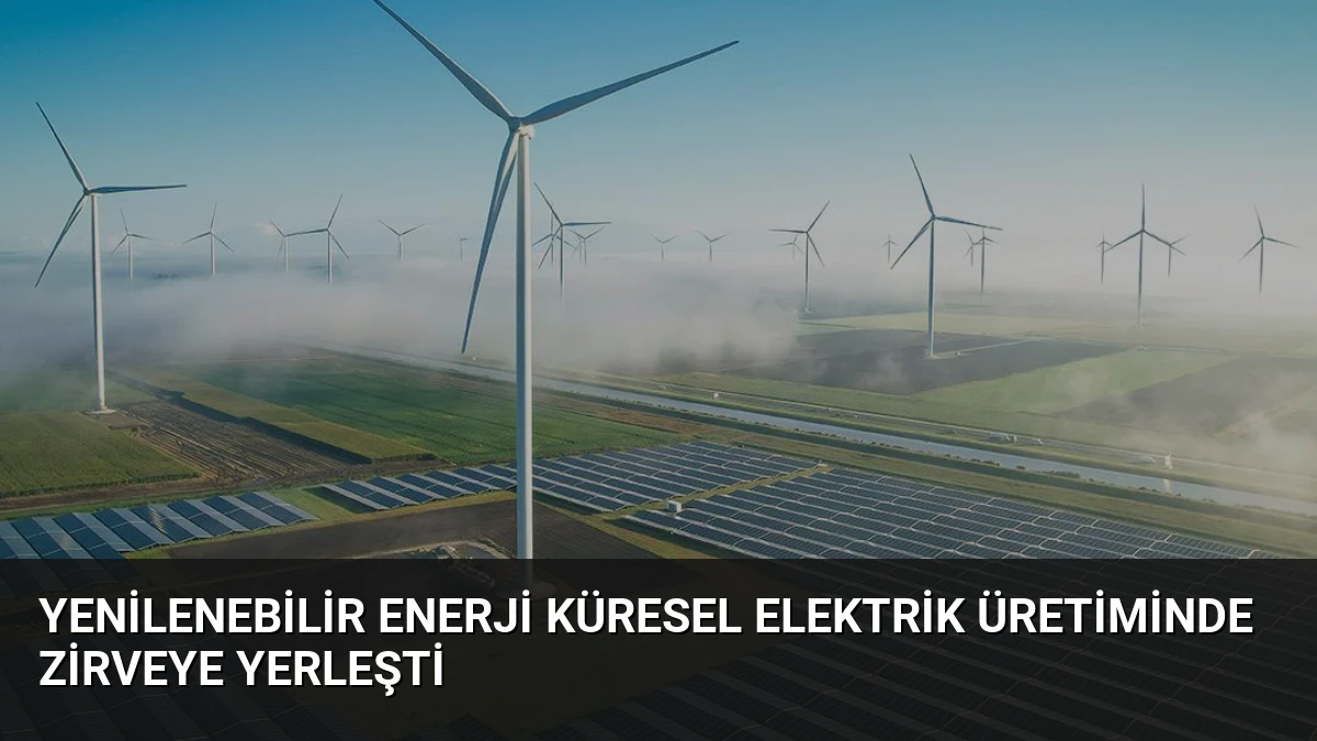 Yenilenebilir Enerji Küresel Elektrik Üretiminde Zirveye Yerleşti