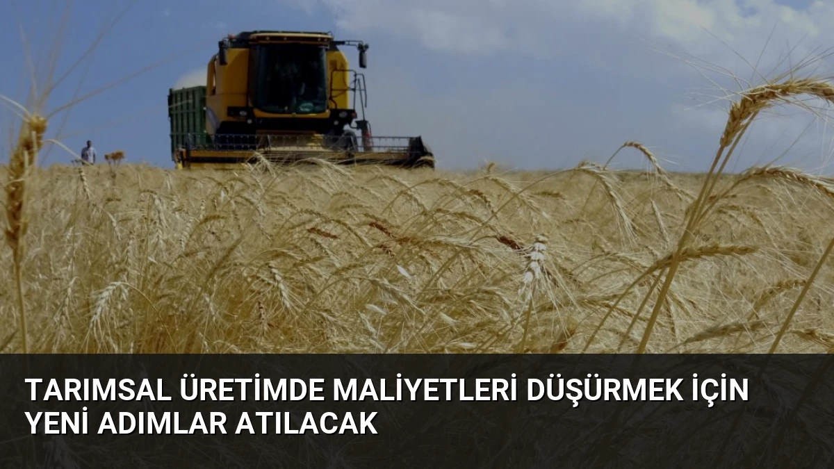 Tarımsal Üretimde Maliyetleri Düşürmek İçin Yeni Adımlar Atılacak
