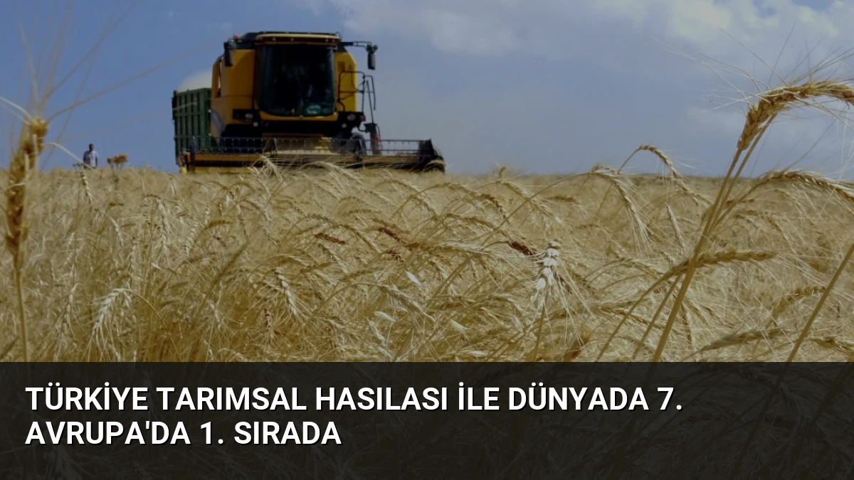 Türkiye Tarımsal Hasılası ile Dünyada 7. Avrupa’da 1. Sırada