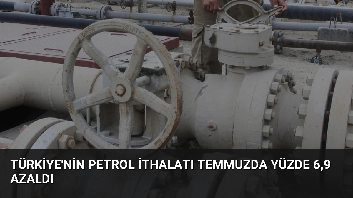 Türkiye’nin Petrol İthalatı Temmuzda Yüzde 6,9 Azaldı