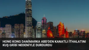 Hong Kong Danimarka ABD’den Kanatlı İthalatını Kuş Gribi Nedeniyle Durdurdu