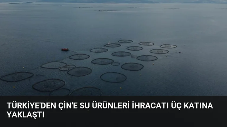 Türkiye’den Çin’e Su Ürünleri İhracatı Üç Katına Yaklaştı